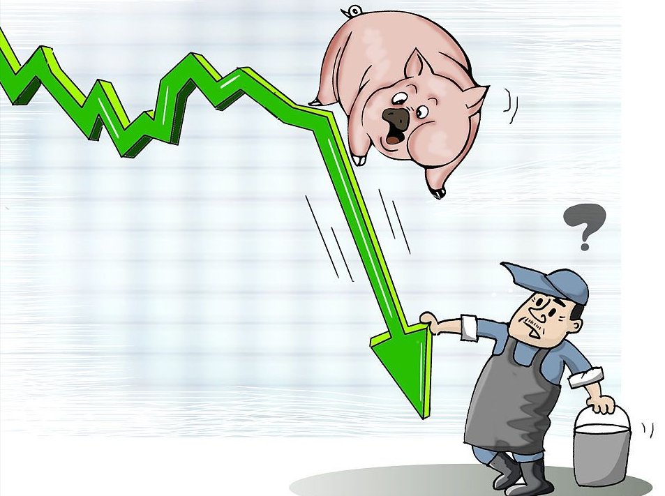 Gasoline prices were greatly reduced! On November 9, the price of pigs was Gasoline prices are greatly reduced! On November 9, the price of pigs was